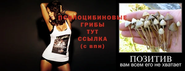 твердый Алексеевка