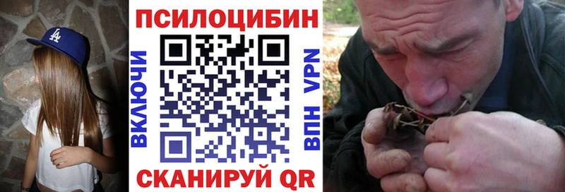 Псилоцибиновые грибы Cubensis  Бахчисарай 